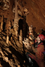 Thumbnail of photo from this article